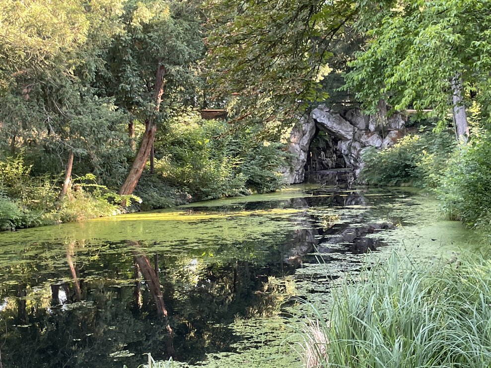 Teich im Wald