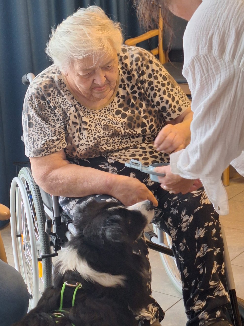 Hund mit Bewohnerin