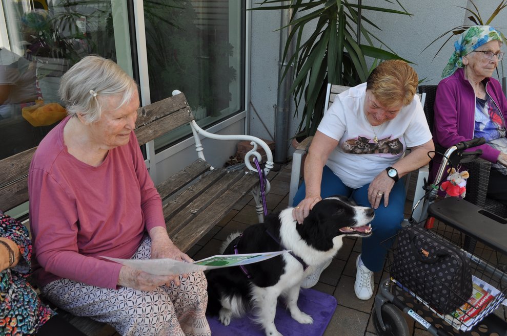 einige Bewohnerinnen bei der Tiertherapie mit einem Hund