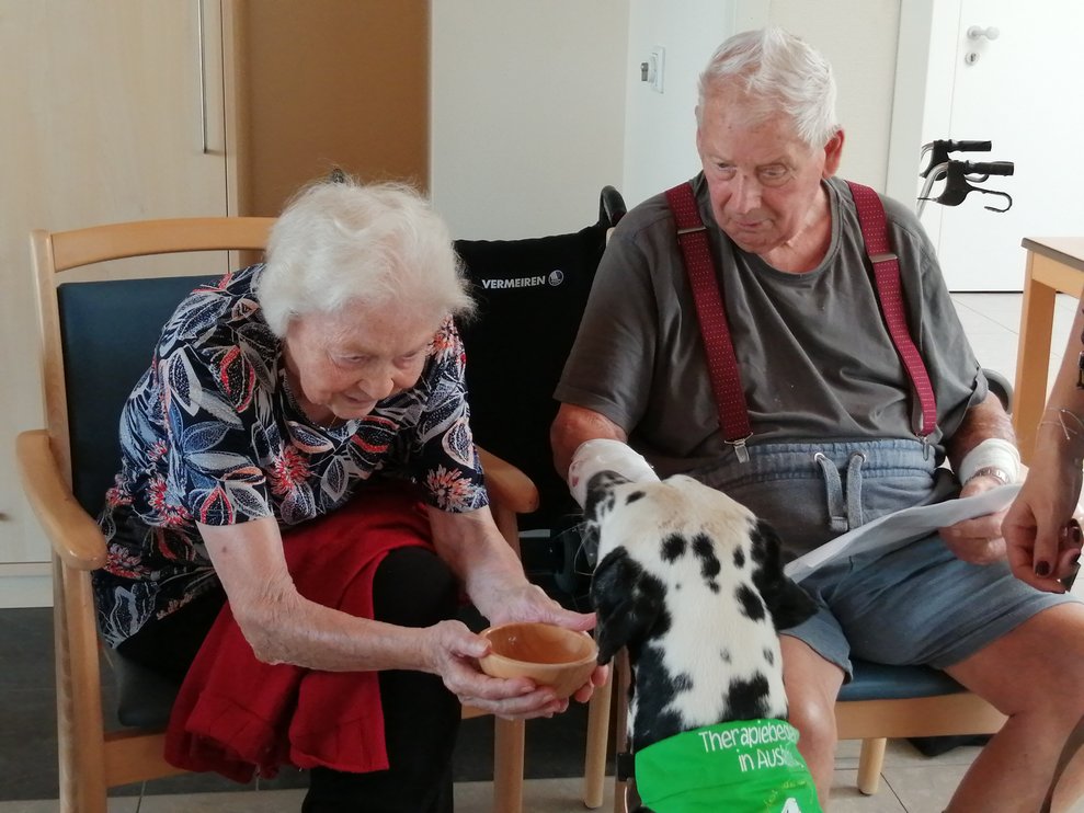 Bewohner mit Therapiehund