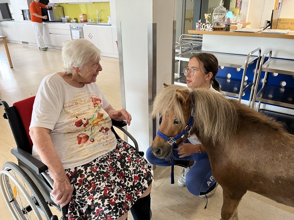 Zwergpony mit Bewohnerin