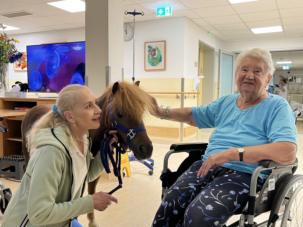 Pony mit Bewohnerin