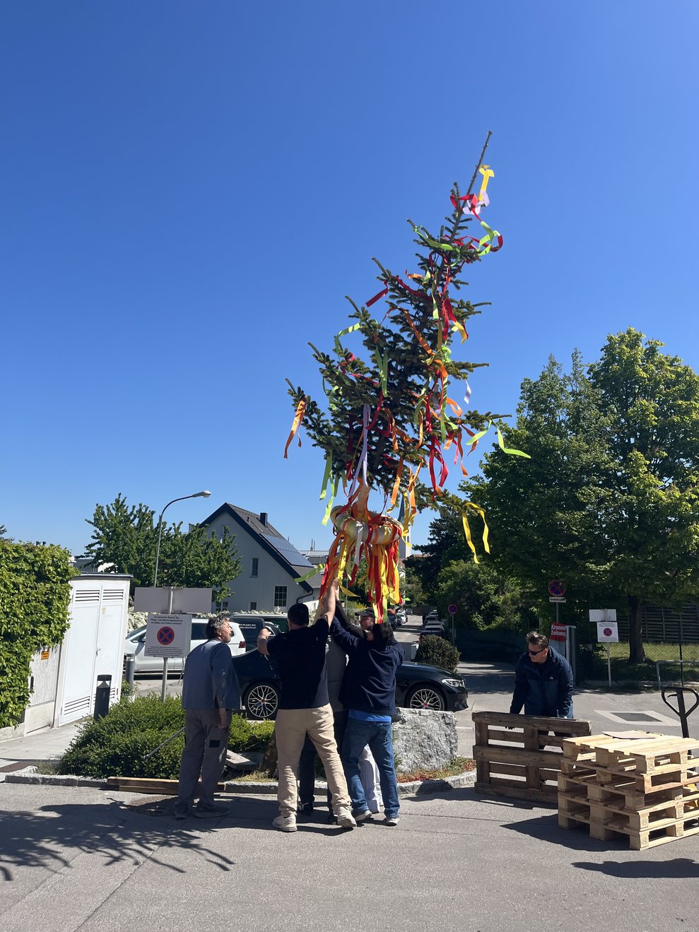Maibaum