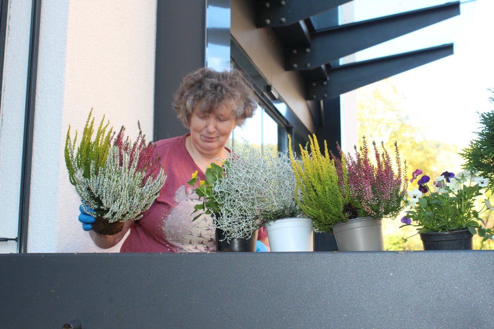 Herbstblumen