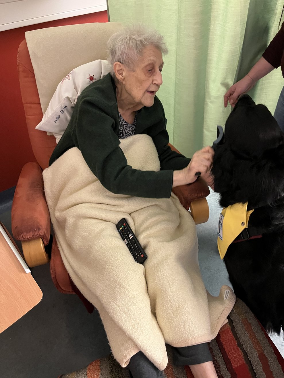 Bewohnerin bürstet Hund