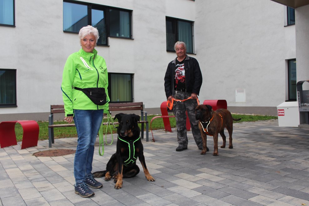 Viele verschiedene Hunderassen eignen sich für die Ausbildung zum Suchhund.