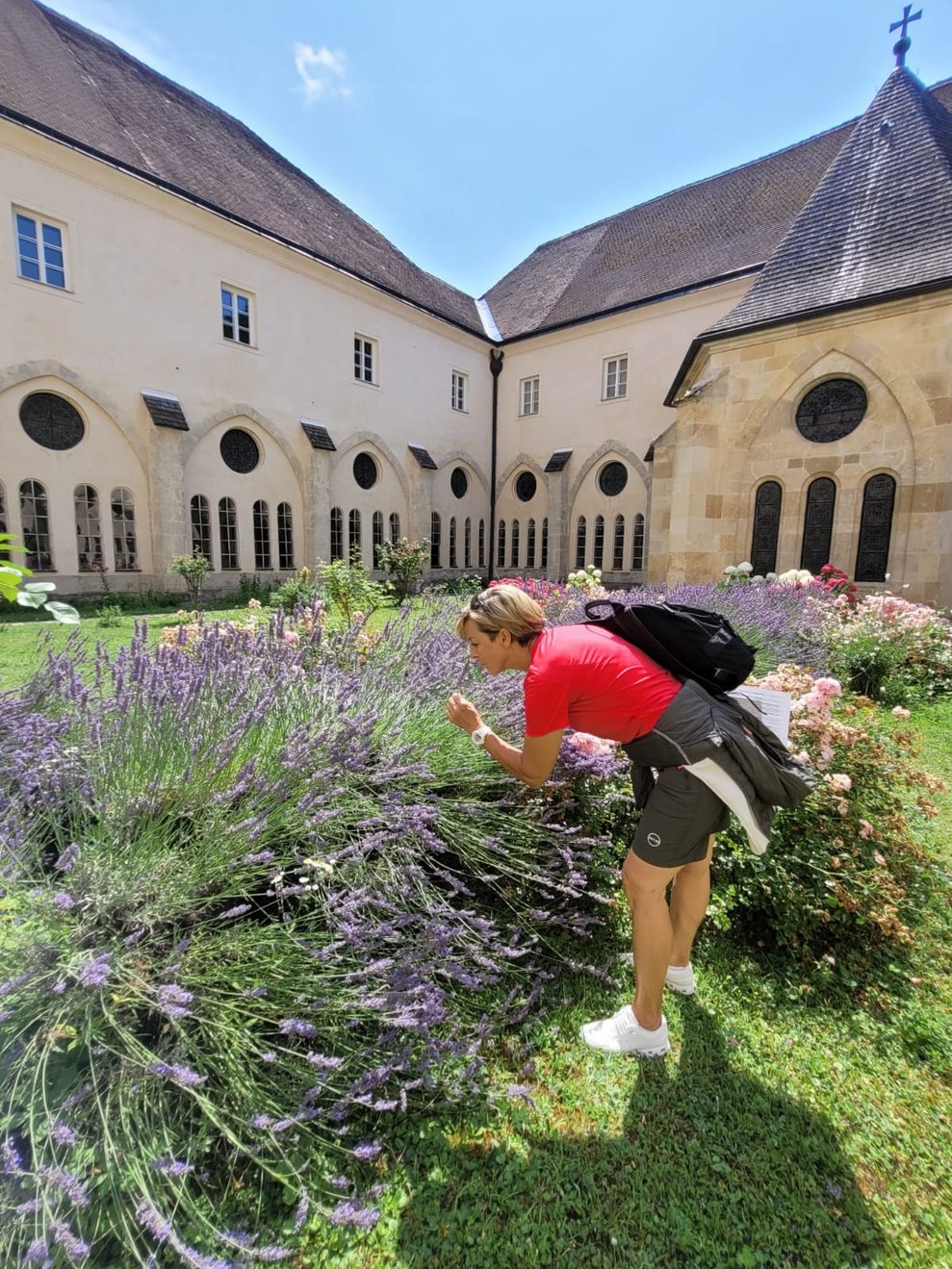 Eine Dame riecht am Lavendel vom Stift Lilienfeld.