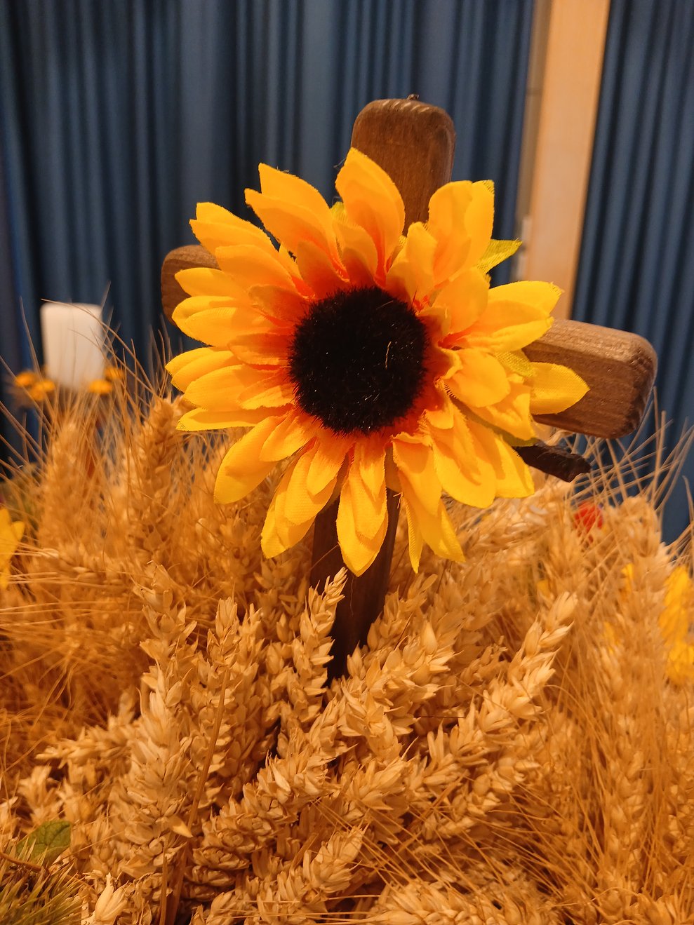 Sonnenblume