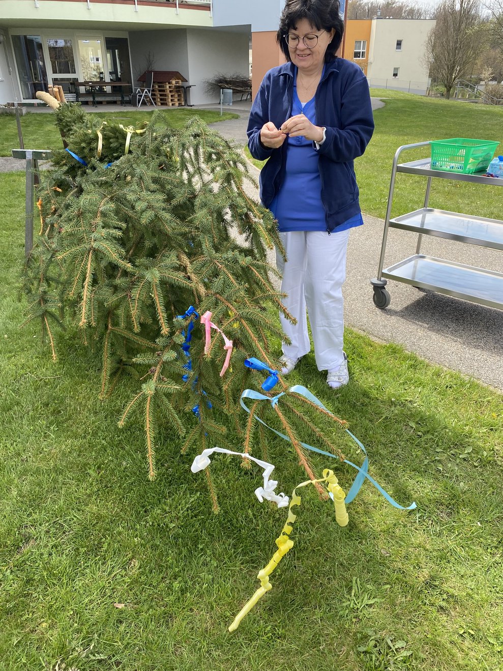 der Baum wird geschmückt