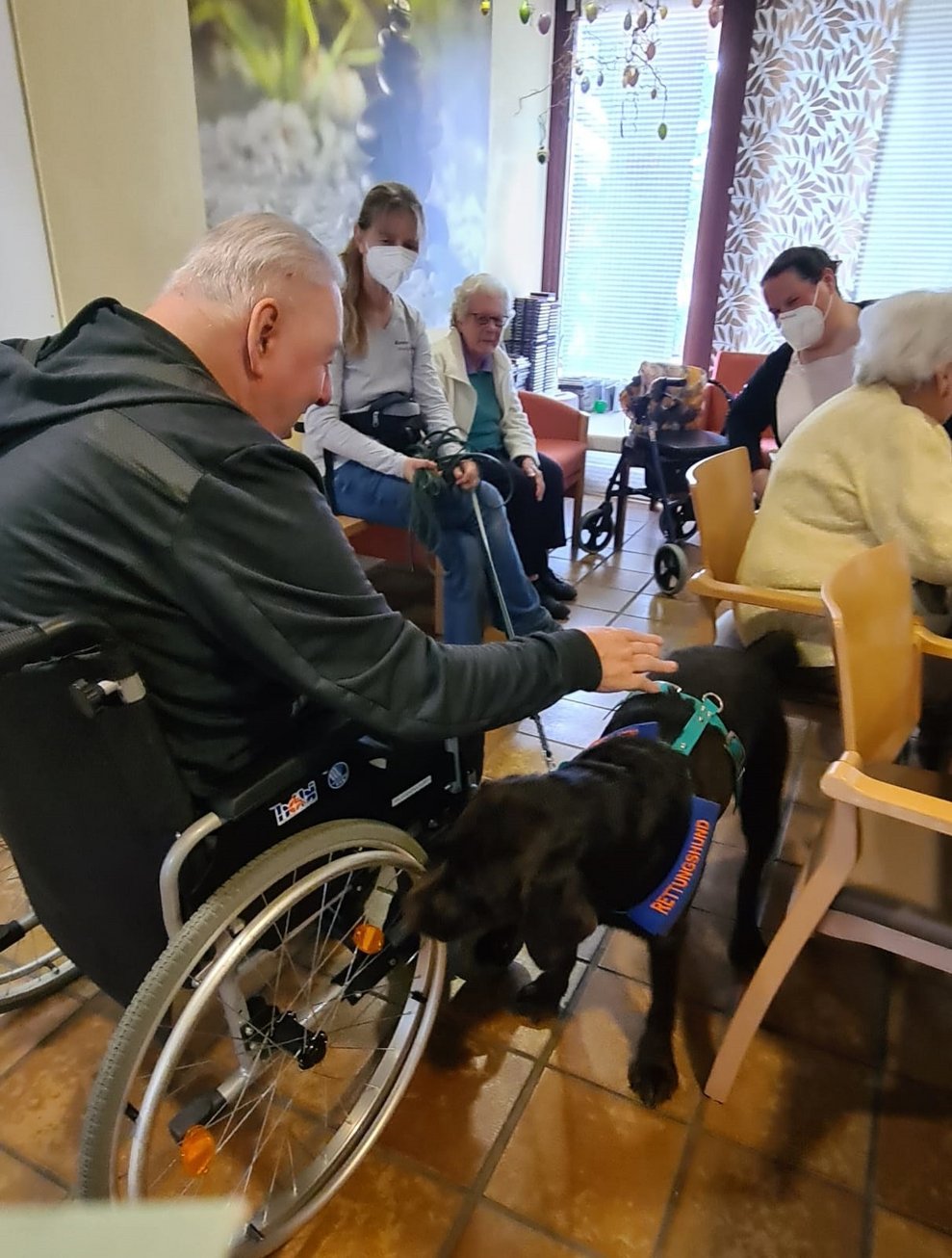 Die Hunde ließen sich nach dem Training streicheln.