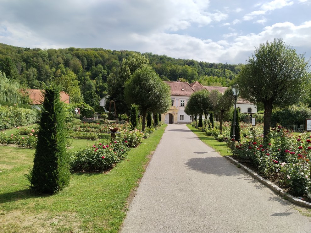 Eine Allee mit schönen Bäumen und Sträuchern am Rand!