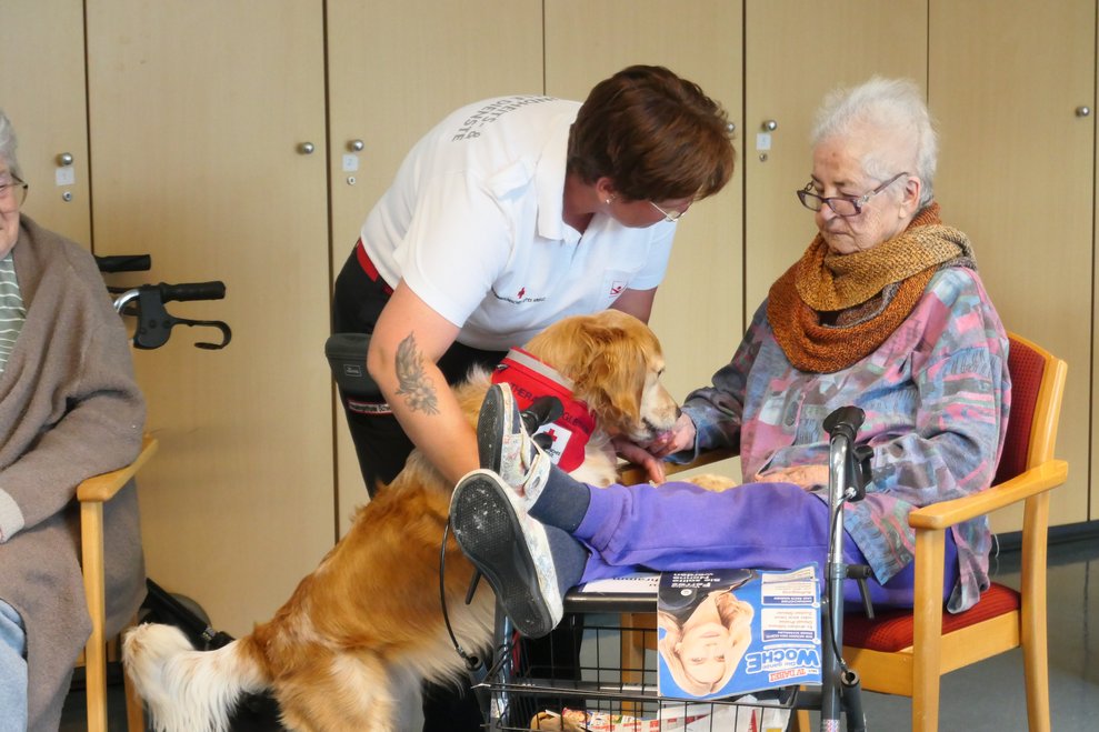 Bewohnerin streichelt Therapiehund