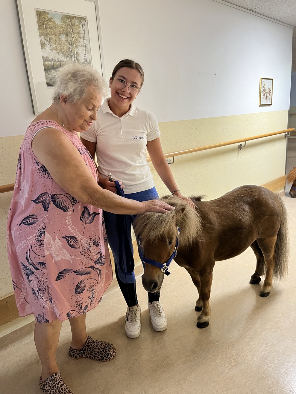 Pony mit Bewohnerin