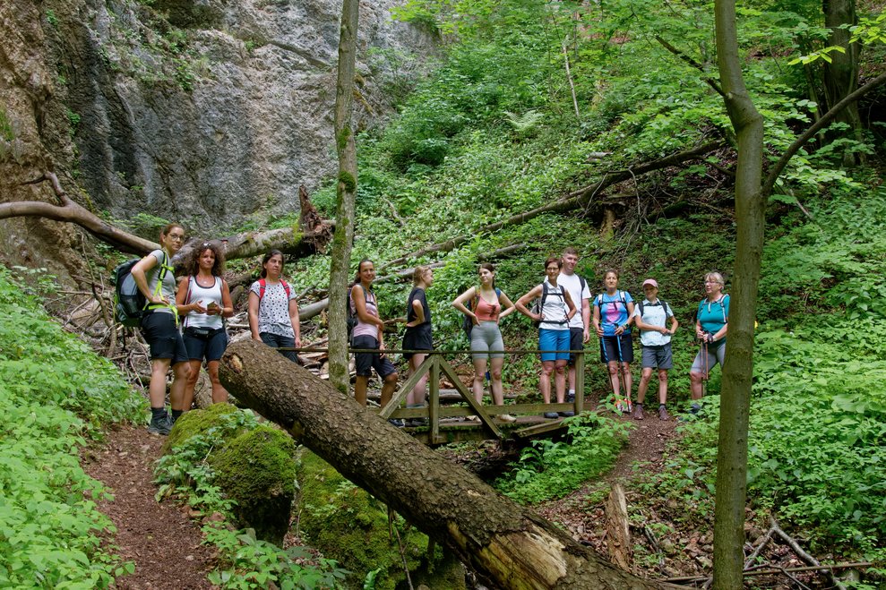 Elf Personen stehen auf einer kleinen Brücke im Wald.