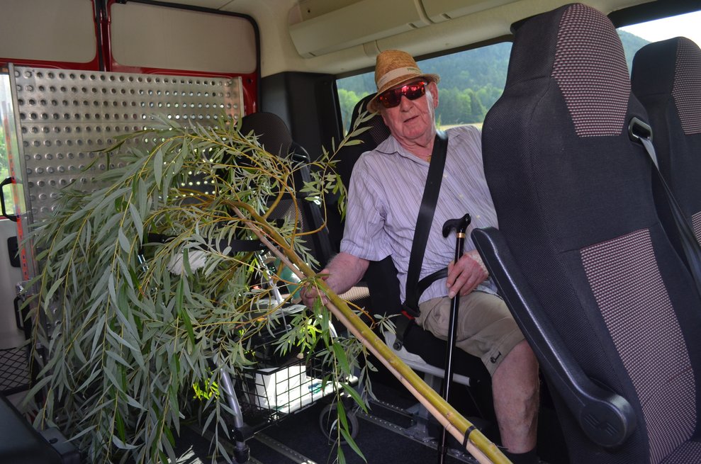 Baum und Bewohner im Auto