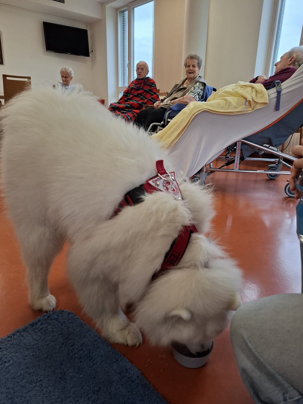 Zum Abschluss gibt es noch einen großen Schluck frisches, kaltes Wasser für Josie. Wir freuen uns schon auf den nächsten Besuch in unserem Haus.