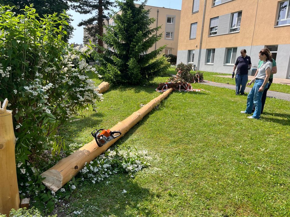 Maibaum am Boden