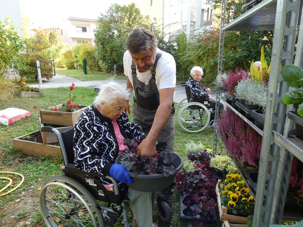 Blumen pflanzen