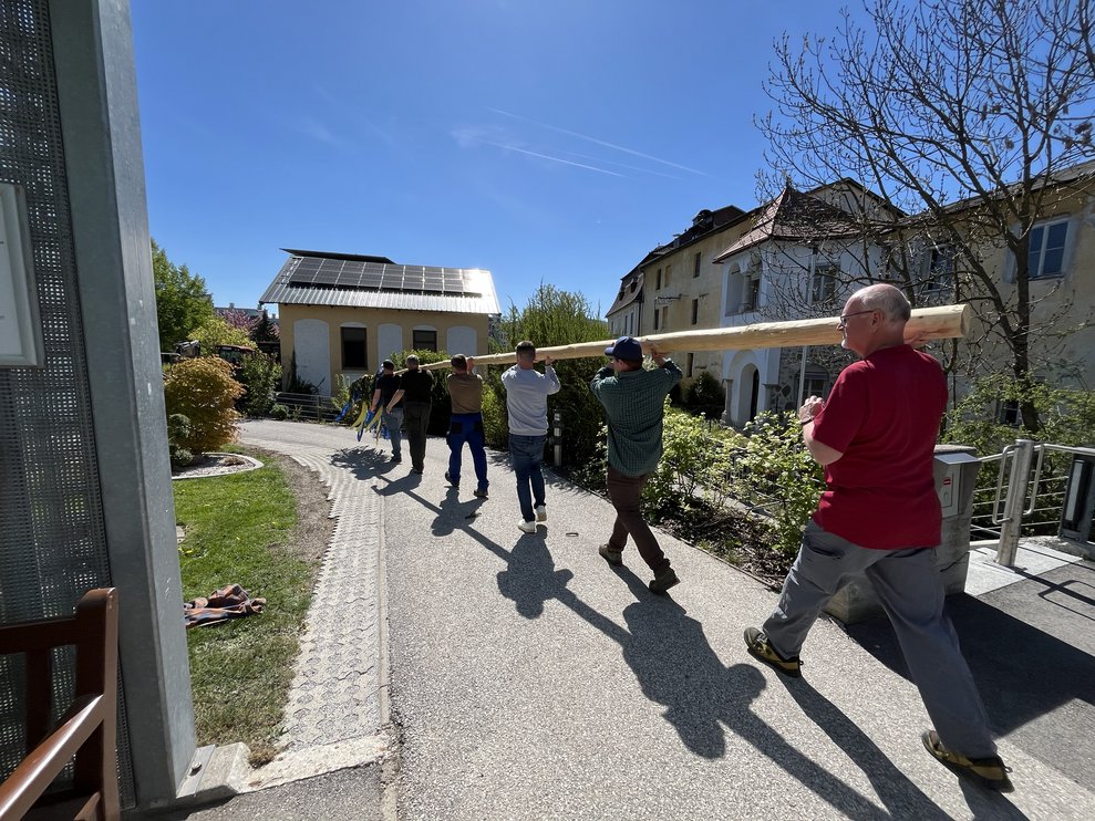 Der Maibaum wird in den Garten getragen.