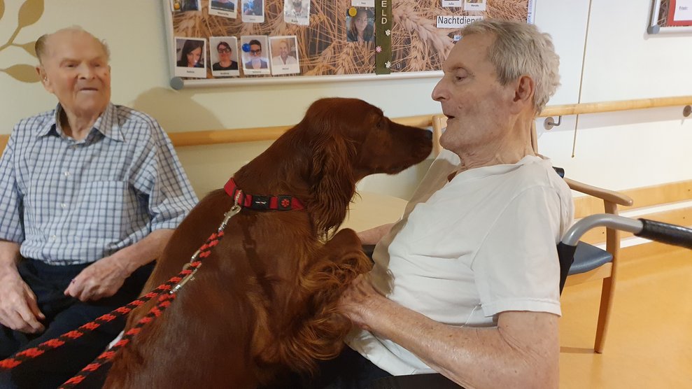 Bewohner mit Hund