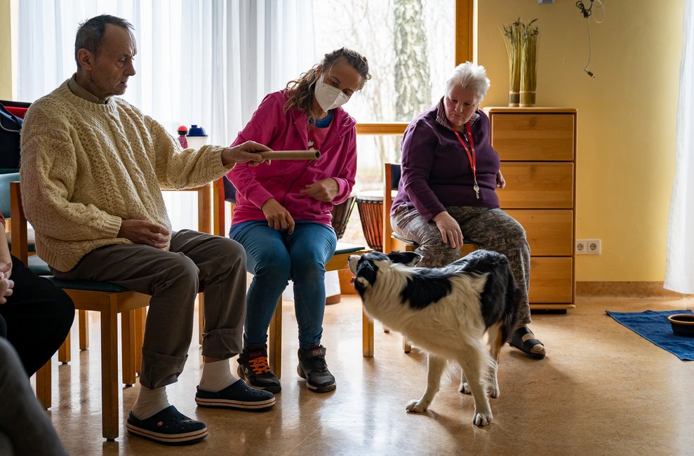 BewohnerInnen spielen mit einem Hund.