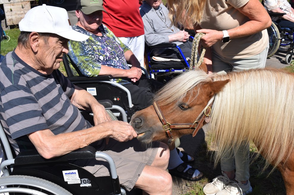 Ponybesuch