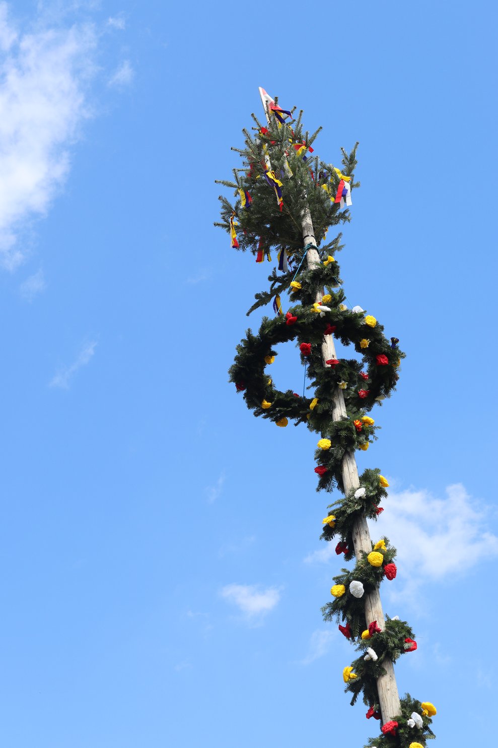 Wir stellen unseren Maibaum auf