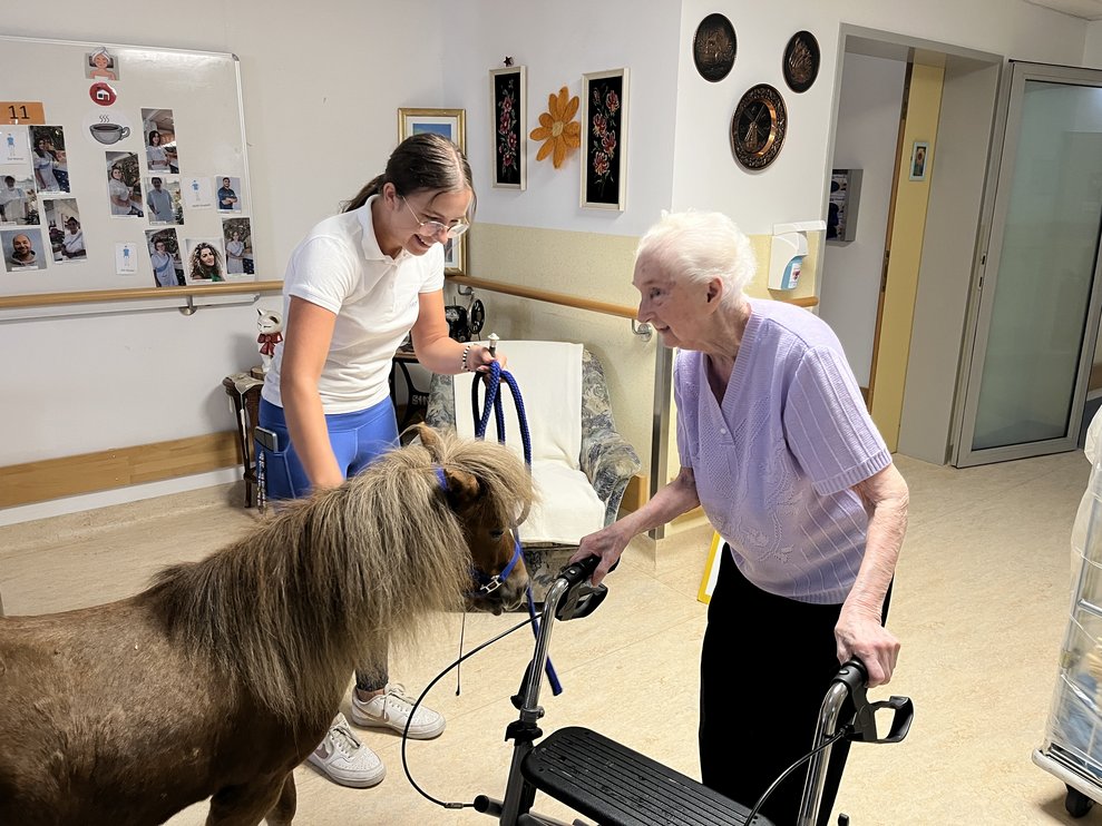 Zwergpony mit Bewohnerin