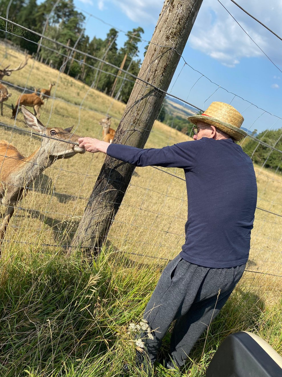 Ein Mann füttert ein Wildtier.