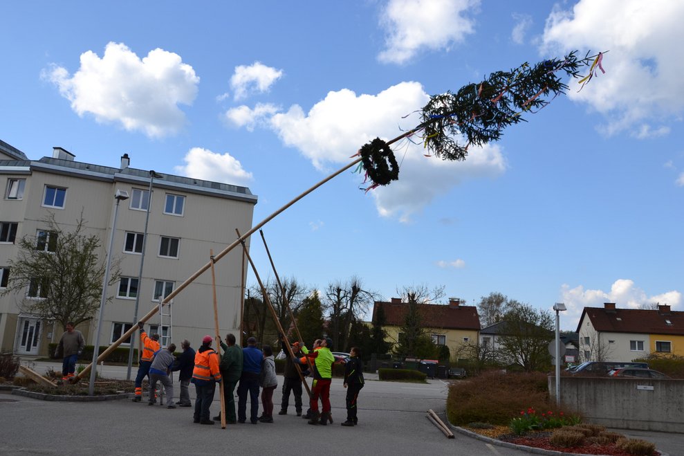 Der Maibaum wurde von den Gemeinde MitarbeiterInnen aufgestelllt. Der Maibaum wurde von den Gemeinde MitarbeiterInnen aufgestelllt.