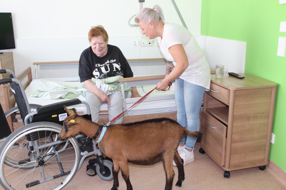 Aus diesem Grund gehen wir mit der gutmütigen und geduldigen Ziege „Franz“ auch in die Wohnbereiche…
