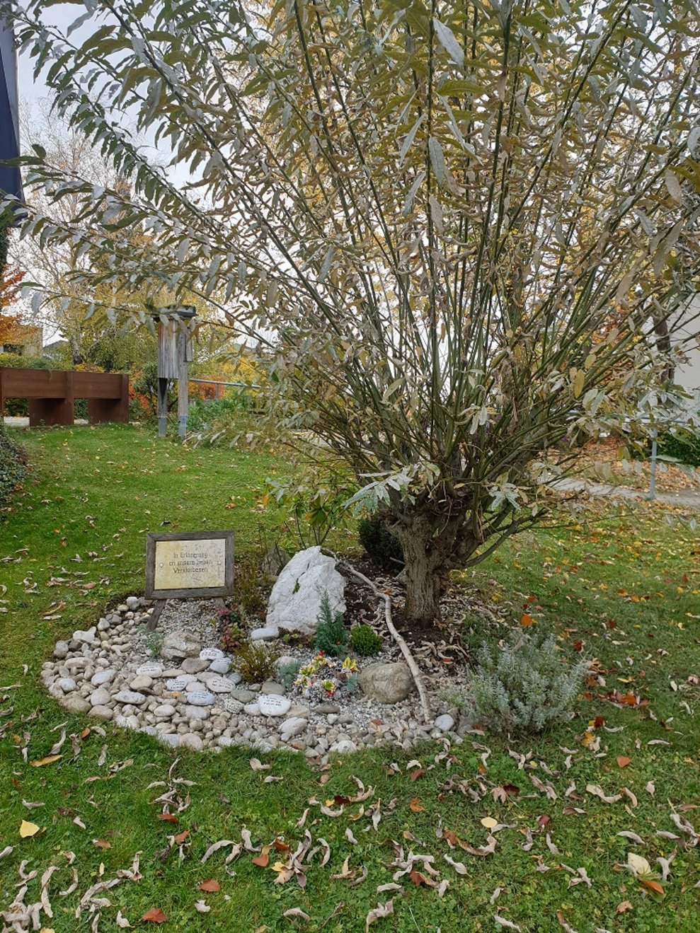 Neben einem Baum liegen Gedenksteine.