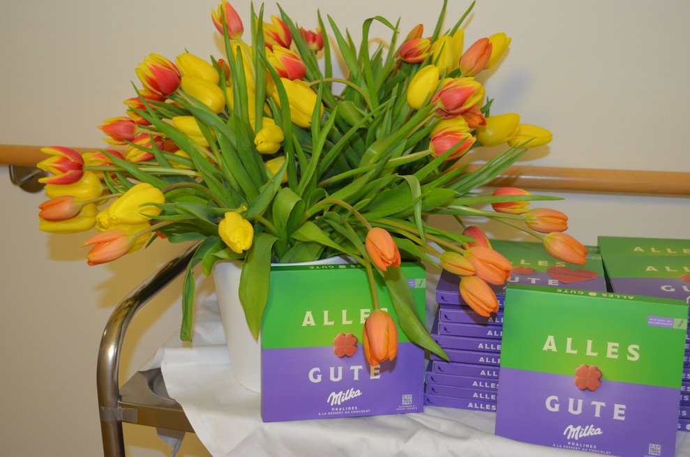 Tulpen mit Schokolade