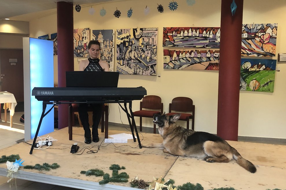 Die Klavierspielerin und ihr Hund auf der Bühne. 
