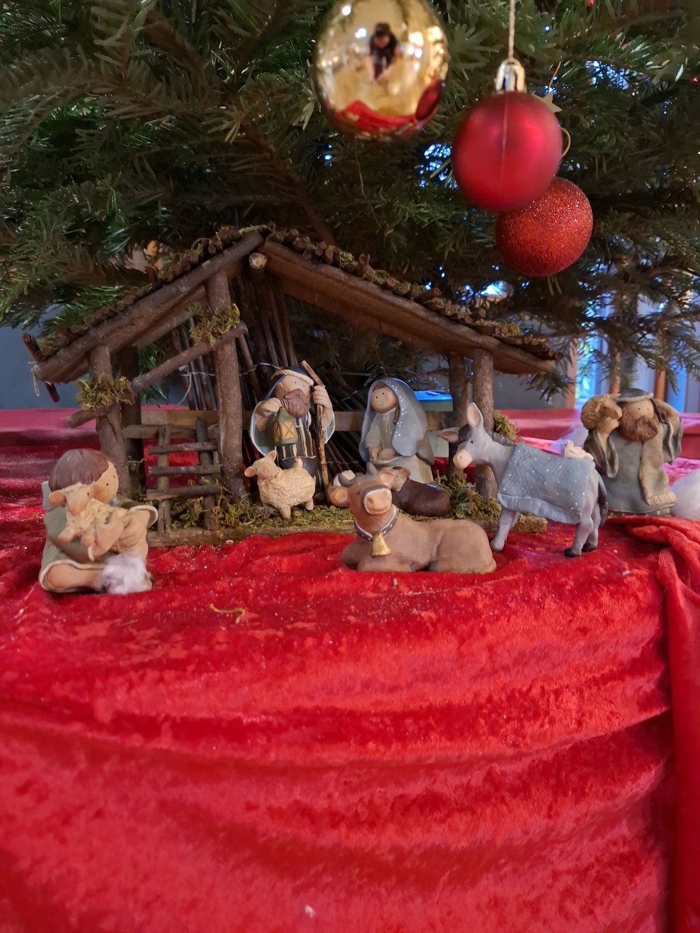 Die Krippe unter dem Christbaum darf natürlich auch nicht fehlen.