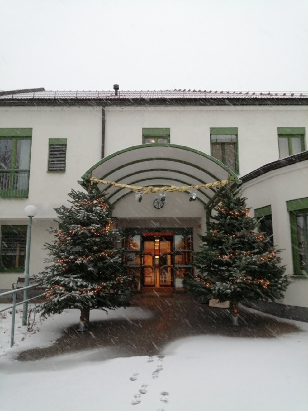 Bäume, die mit Schnee bedeckt sind.