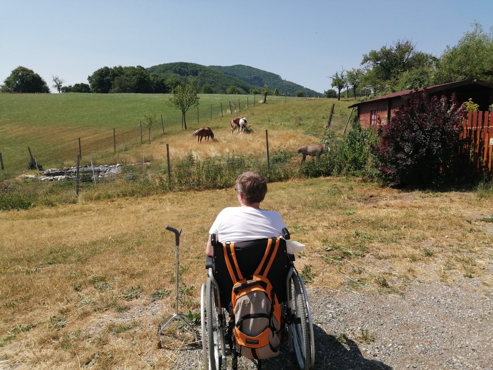 Eine Frau schaut auf die Pferdeweide.