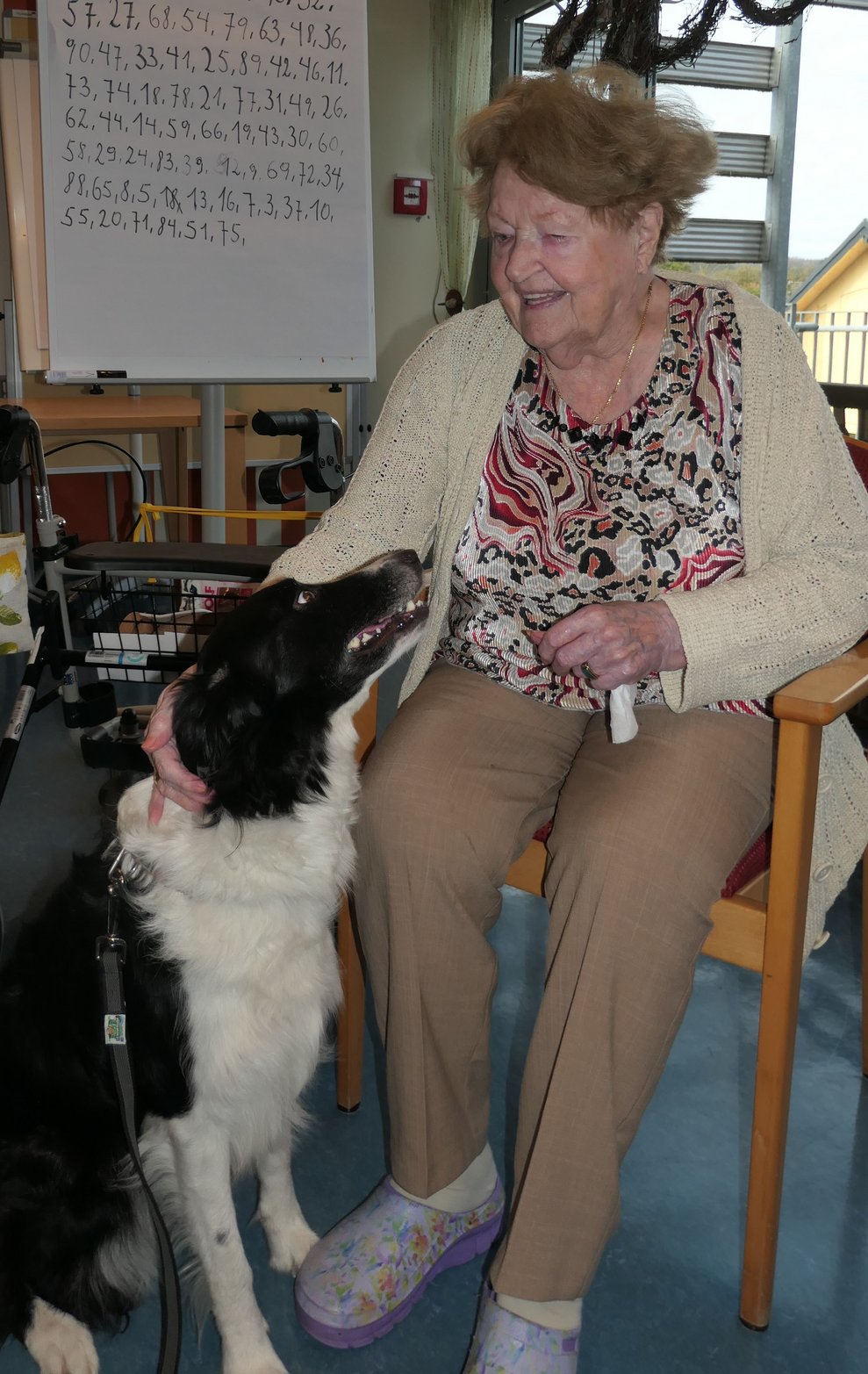Eine Dame streichelt den Hund.