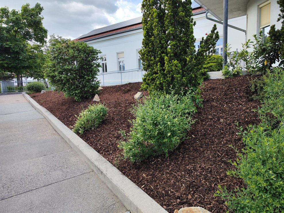 Blumenbeet mit Pflanzen und mit braunen Rindenmulch.