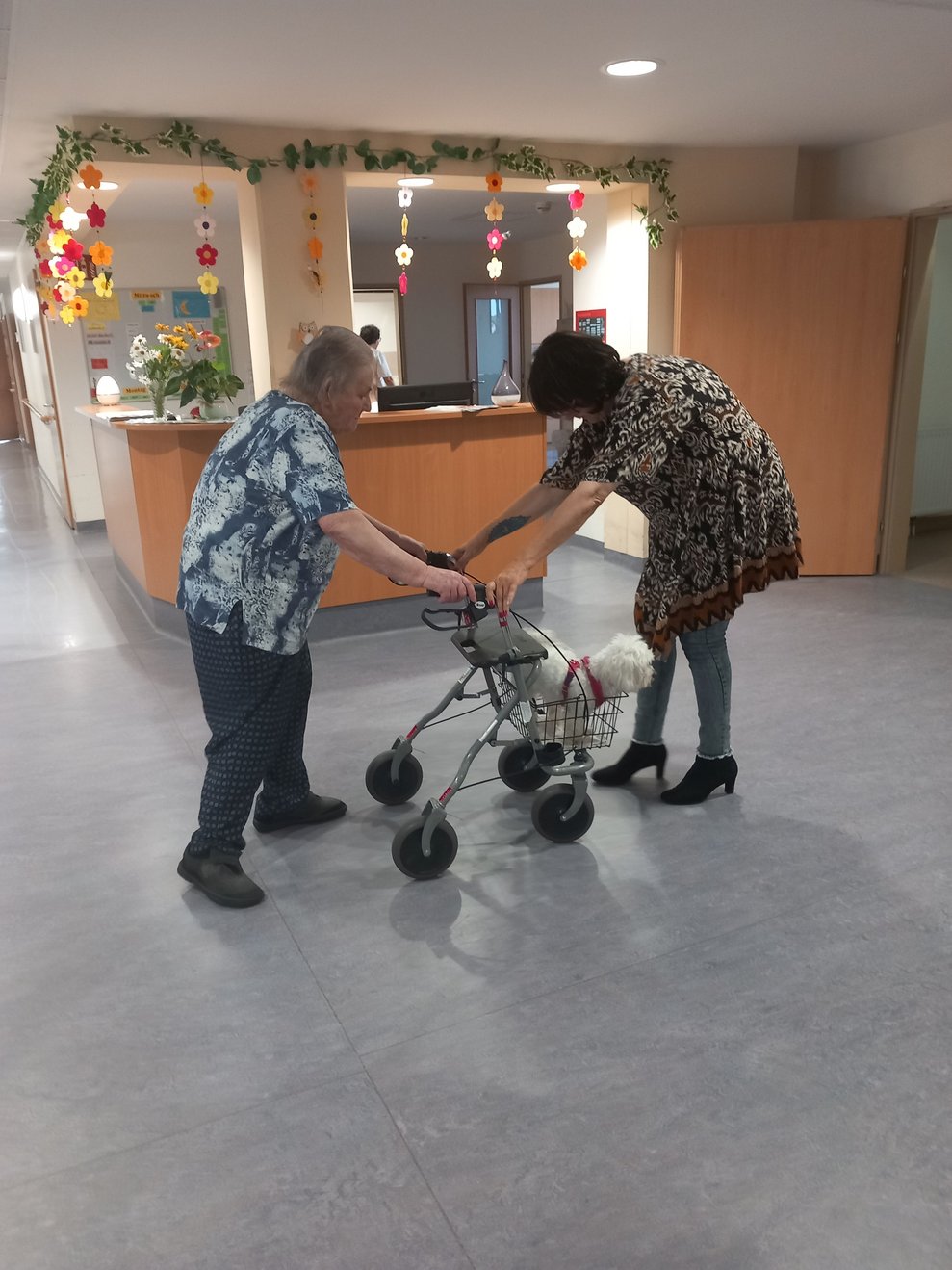 Rollator