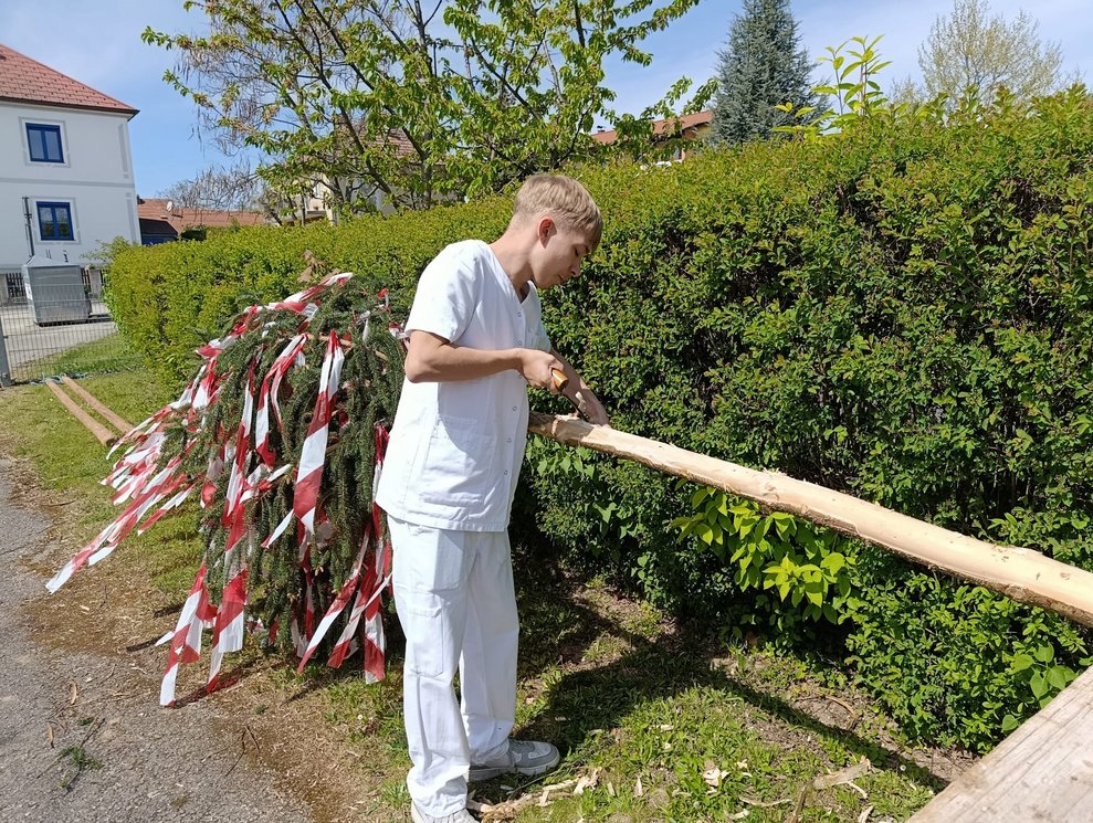 Mann entrindet liegenden Maibaum.