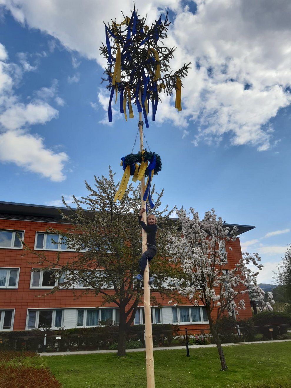 Ein Bub klettert auf den Maibaum.