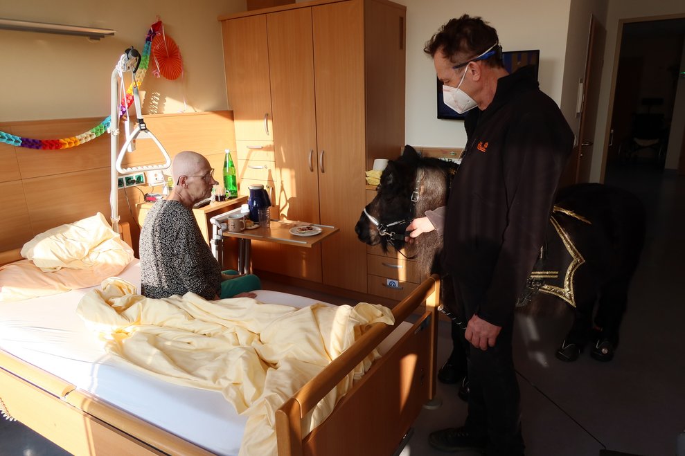 Pony im Zimmer
