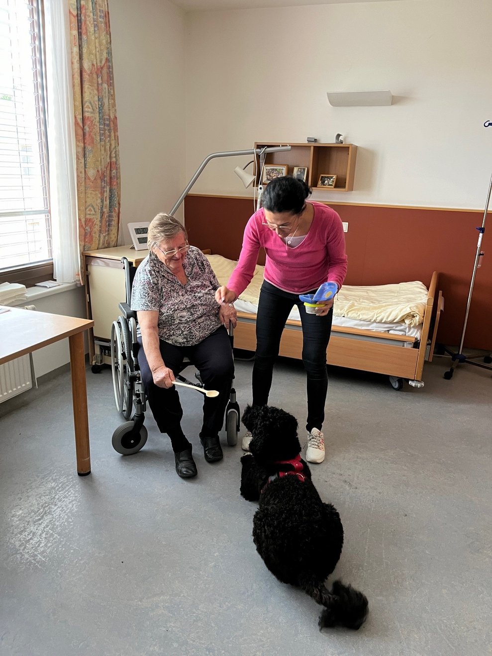 Hund mit zwei Menschen