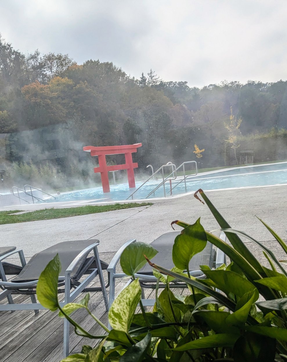 Bild vom Außenschwimmbecken.