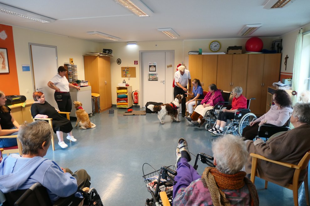 Bewohner mit Therapiehunden im Gemeinschaftsraum