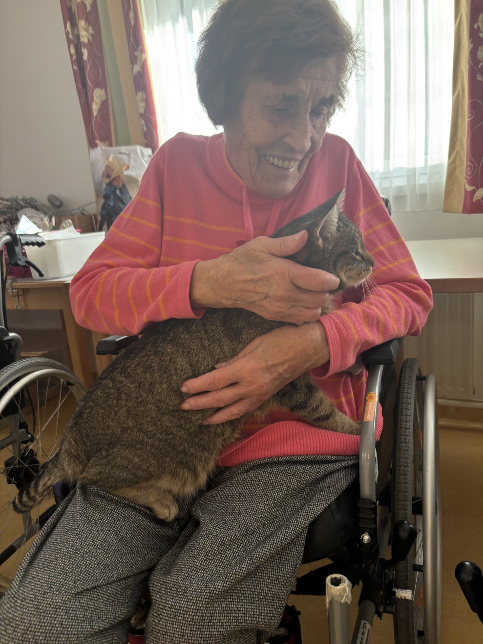 Kater Cocco genießt die Zeit im Haus
