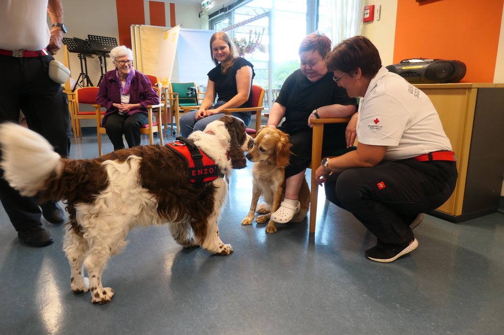 Bewohnerin, Trainerin und zwei Hunde