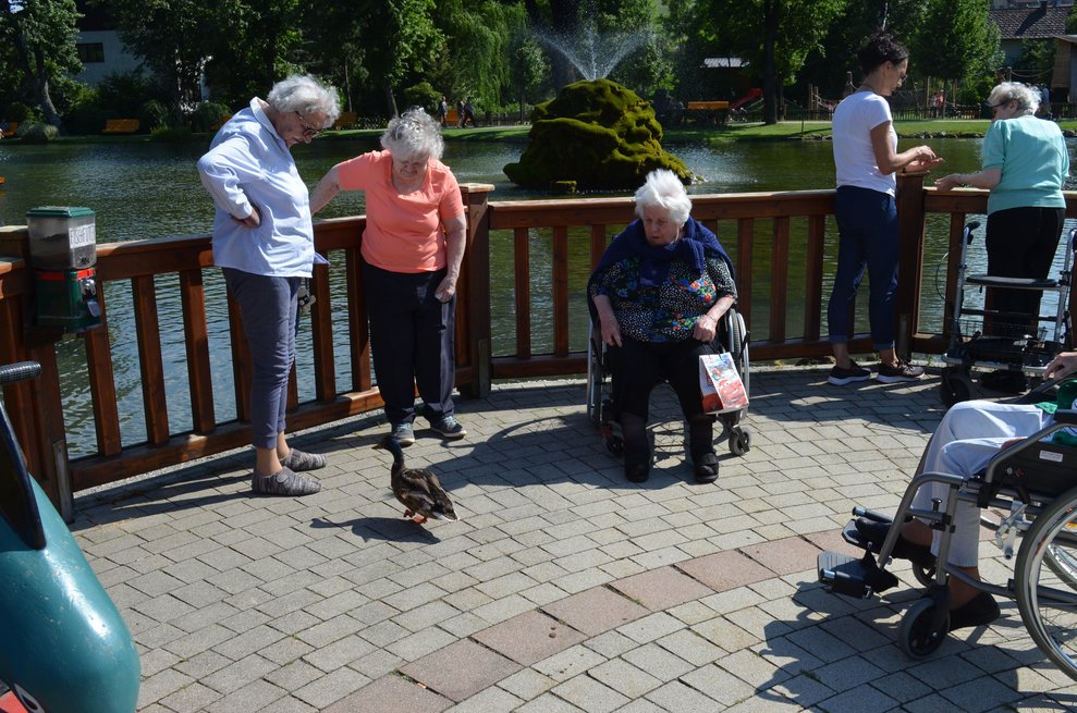 Die Ente wollte nicht mehr weggehen.