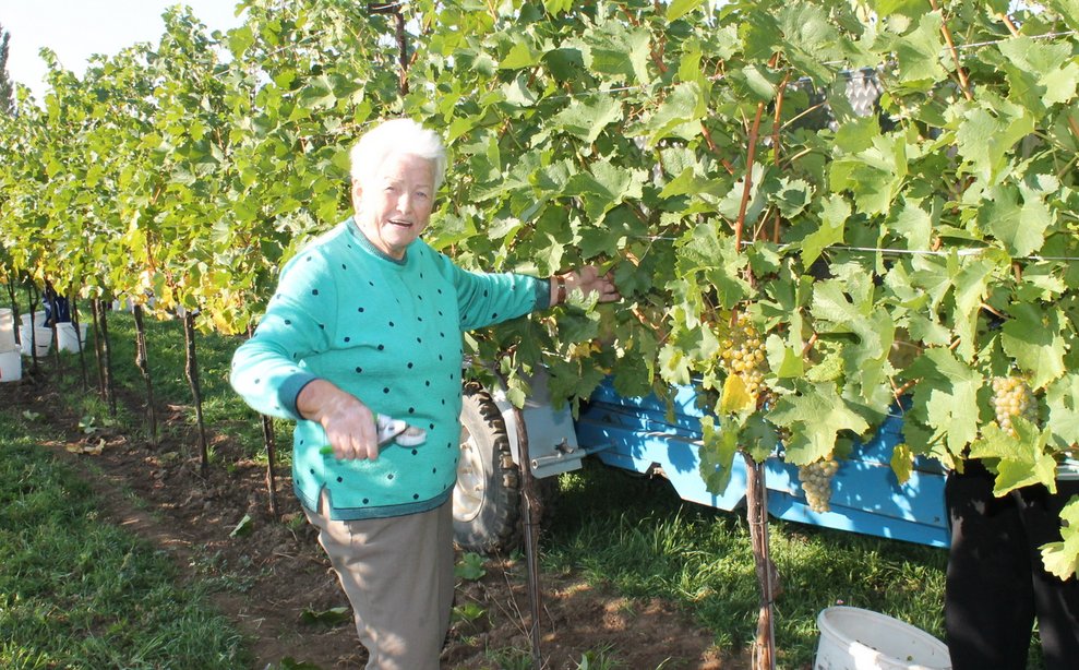 Fr. Zechner bei der Arbeit